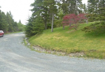 0 MOUNT ROYAL ESTATES, CARBONEAR, Newfoundland, Canada A1Y 1C3, ,Land,For Sale,MOUNT ROYAL ESTATES,4538
