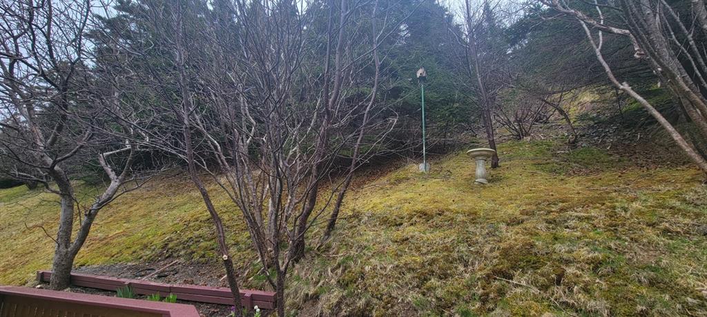 11-15 SOUTHSIDE ROAD, PORT AUX BRAS, Newfoundland, Canada A0E 1E0, ,1 BathroomBathrooms,Residential,Reduced,SOUTHSIDE ROAD,5340