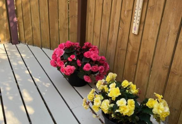11-15 SOUTHSIDE ROAD, PORT AUX BRAS, Newfoundland, Canada A0E 1E0, ,1 BathroomBathrooms,Residential,Reduced,SOUTHSIDE ROAD,5340 11-15 SOUTHSIDE ROAD, PORT AUX BRAS, Newfoundland, Canada A0E 1E0, ,1 BathroomBathrooms,Residential,Reduced,SOUTHSIDE ROAD,5340