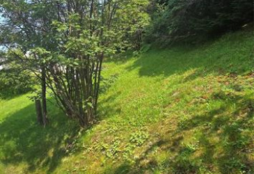 11-15 SOUTHSIDE ROAD, PORT AUX BRAS, Newfoundland, Canada A0E 1E0, ,1 BathroomBathrooms,Residential,Reduced,SOUTHSIDE ROAD,5340 11-15 SOUTHSIDE ROAD, PORT AUX BRAS, Newfoundland, Canada A0E 1E0, ,1 BathroomBathrooms,Residential,Reduced,SOUTHSIDE ROAD,5340