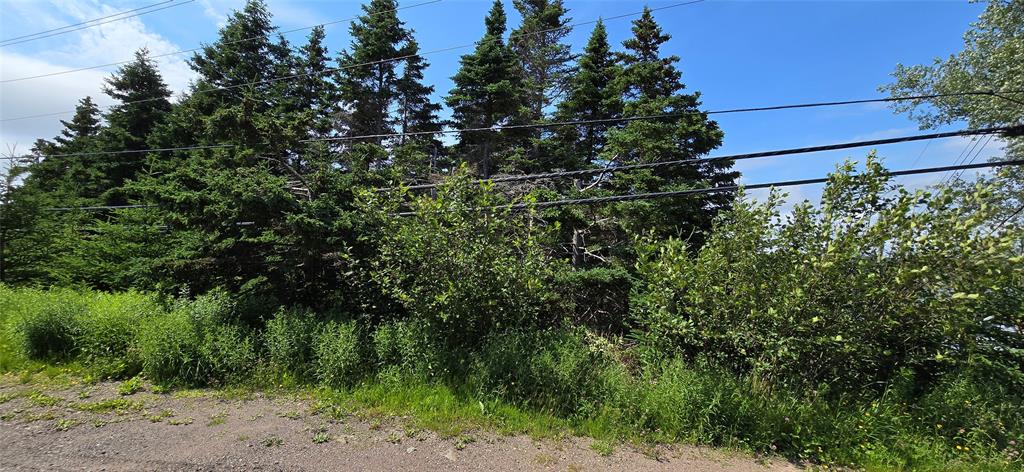 160-166 CRESTON BOULEVARD, MARYSTOWN, Newfoundland, Canada A0E 2M0, ,Land,For Sale,CRESTON BOULEVARD,5452