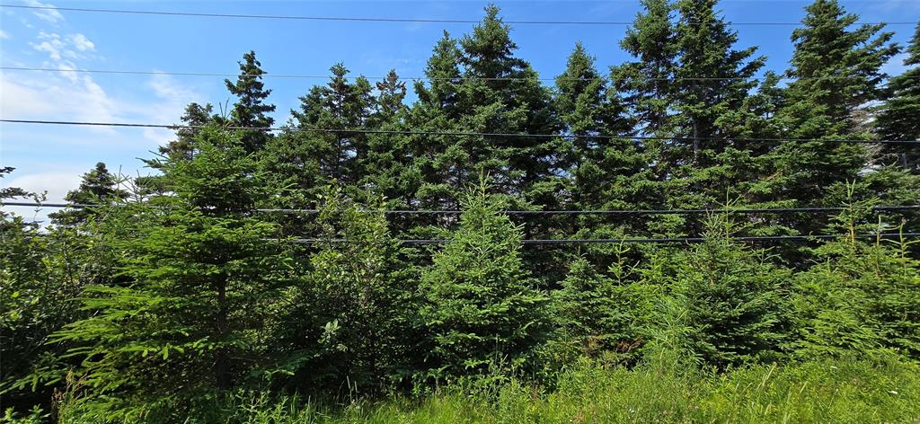 160-166 CRESTON BOULEVARD, MARYSTOWN, Newfoundland, Canada A0E 2M0, ,Land,For Sale,CRESTON BOULEVARD,5452