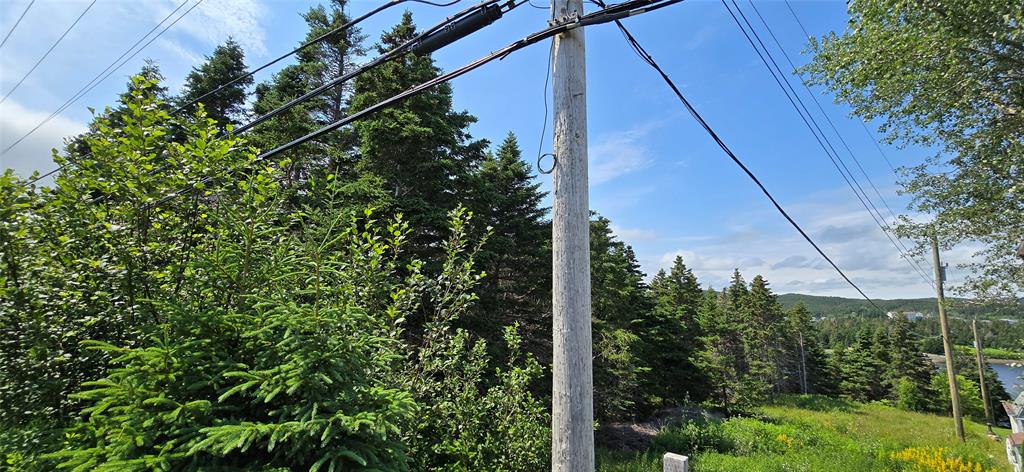 160-166 CRESTON BOULEVARD, MARYSTOWN, Newfoundland, Canada A0E 2M0, ,Land,For Sale,CRESTON BOULEVARD,5452