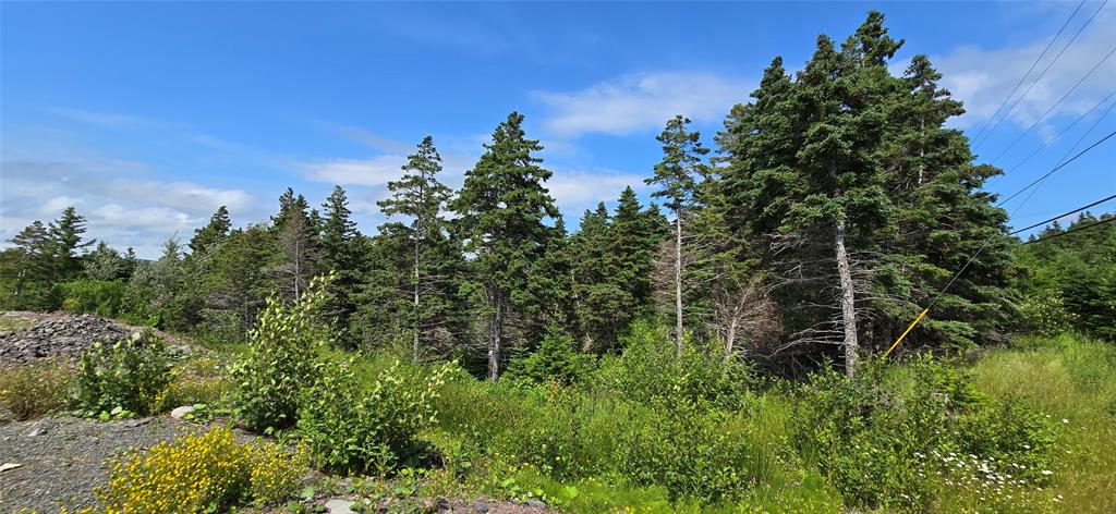 160-166 CRESTON BOULEVARD, MARYSTOWN, Newfoundland, Canada A0E 2M0, ,Land,For Sale,CRESTON BOULEVARD,5452