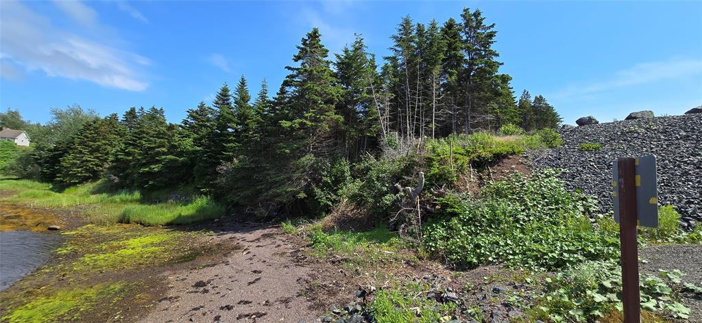 160-166 CRESTON BOULEVARD, MARYSTOWN, Newfoundland, Canada A0E 2M0, ,Land,For Sale,CRESTON BOULEVARD,5452