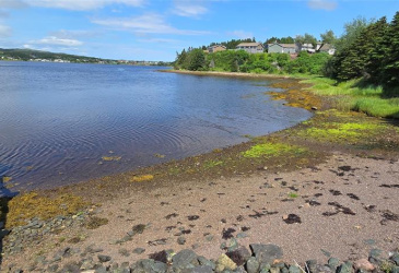 160-166 CRESTON BOULEVARD, MARYSTOWN, Newfoundland, Canada A0E 2M0, ,Land,For Sale,CRESTON BOULEVARD,5452