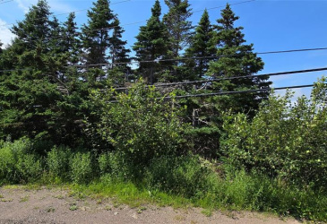 160-166 CRESTON BOULEVARD, MARYSTOWN, Newfoundland, Canada A0E 2M0, ,Land,For Sale,CRESTON BOULEVARD,5452