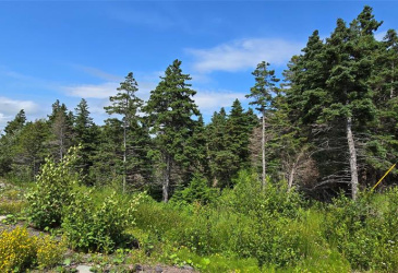 160-166 CRESTON BOULEVARD, MARYSTOWN, Newfoundland, Canada A0E 2M0, ,Land,For Sale,CRESTON BOULEVARD,5452