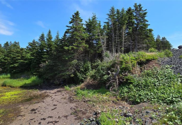 160-166 CRESTON BOULEVARD, MARYSTOWN, Newfoundland, Canada A0E 2M0, ,Land,For Sale,CRESTON BOULEVARD,5452