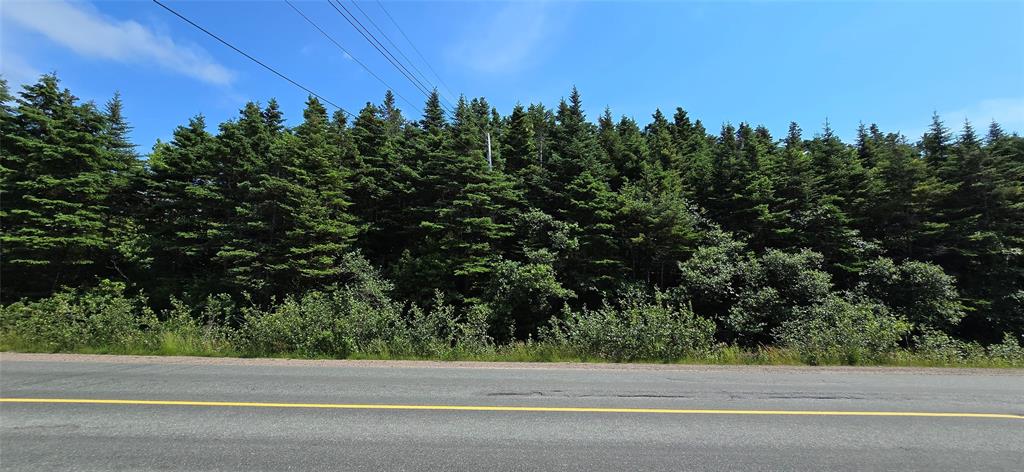 169-177 CRESTON BOULEVARD, MARYSTOWN, Newfoundland, Canada A0E 2M0, ,Land,For Sale,CRESTON BOULEVARD,5453