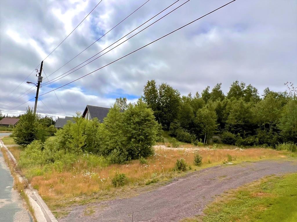 LOT 23 TERRA NOVA GOLF ESTATES, PORT BLANDFORD, Newfoundland, Canada A0C 2G0, ,Land,Sold,TERRA NOVA GOLF ESTATES,5493