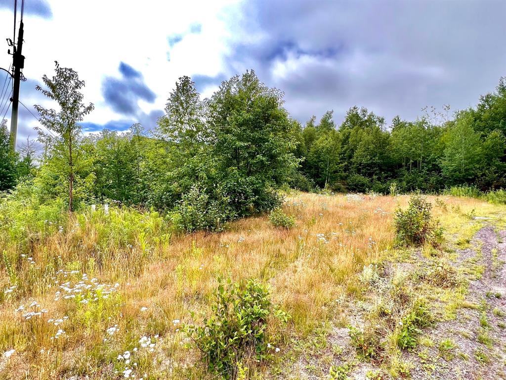 LOT 23 TERRA NOVA GOLF ESTATES, PORT BLANDFORD, Newfoundland, Canada A0C 2G0, ,Land,Sold,TERRA NOVA GOLF ESTATES,5493