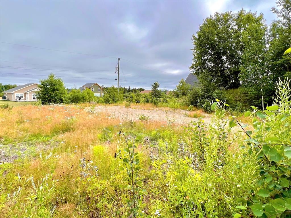 LOT 23 TERRA NOVA GOLF ESTATES, PORT BLANDFORD, Newfoundland, Canada A0C 2G0, ,Land,Sold,TERRA NOVA GOLF ESTATES,5493