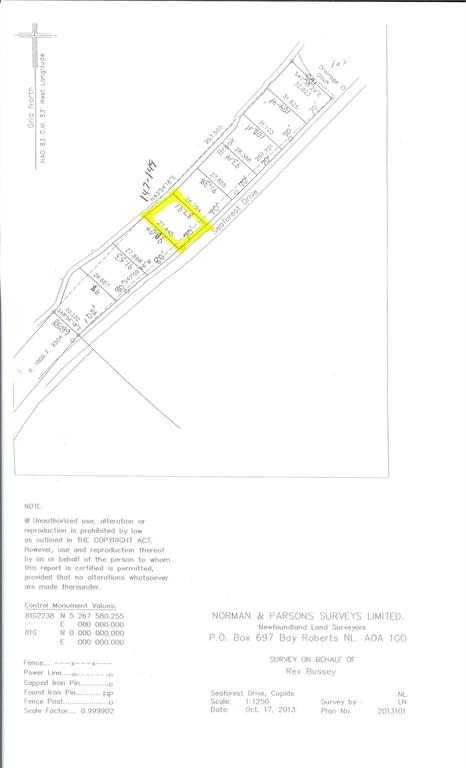 147-149 SEAFOREST DRIVE, CUPIDS, Newfoundland, Canada A0A 2B0, ,Land,For Sale,SEAFOREST DRIVE,5578
