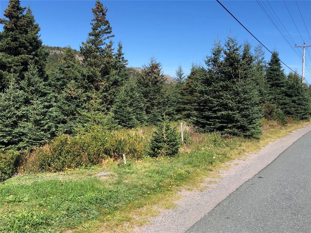 147-149 SEAFOREST DRIVE, CUPIDS, Newfoundland, Canada A0A 2B0, ,Land,For Sale,SEAFOREST DRIVE,5578