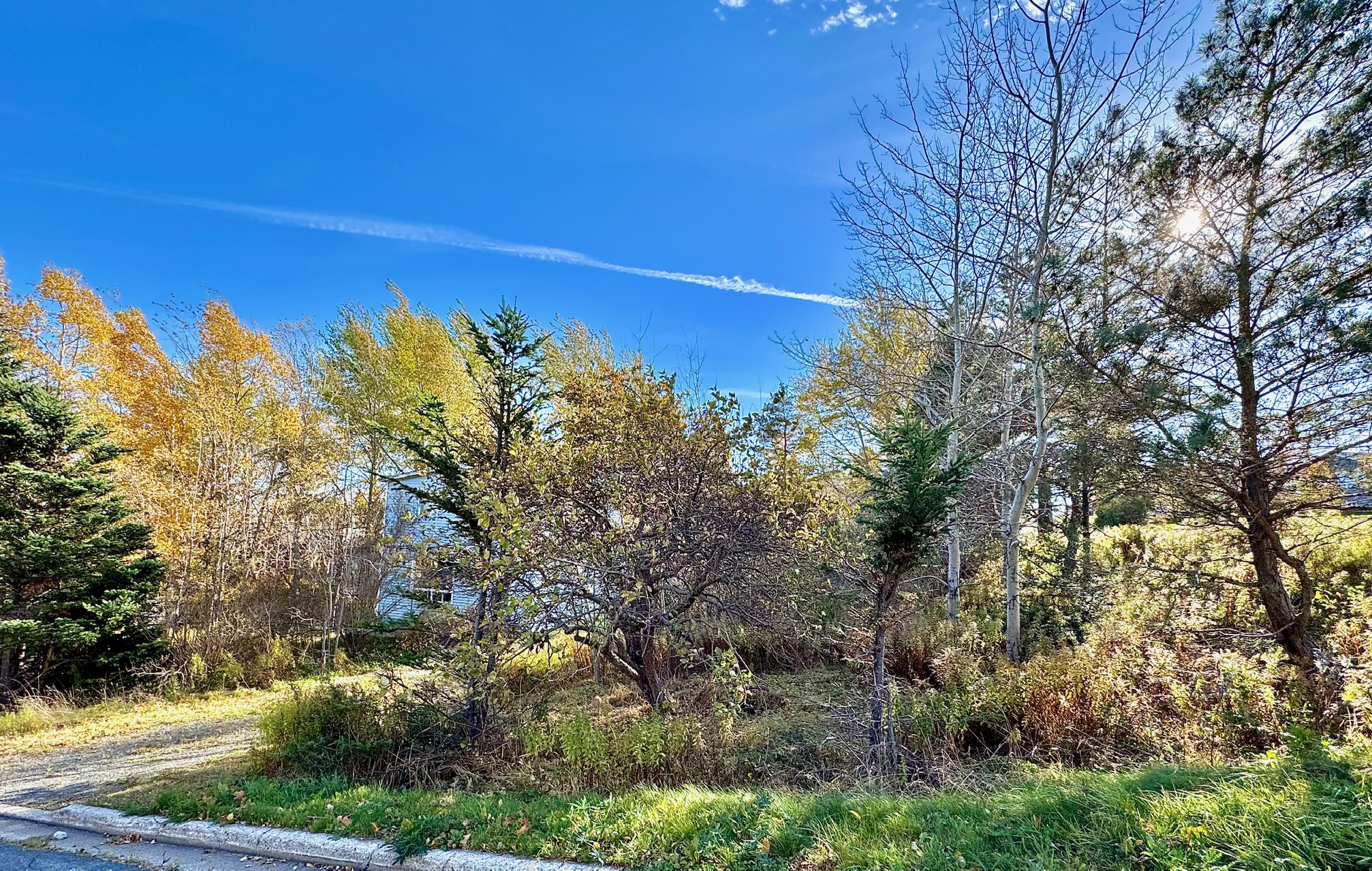 17 STRONG'S ROAD, CLARENVILLE, Newfoundland, Canada A5A 1X8, ,1 BathroomBathrooms,Residential,Sale Pending,STRONG'S ROAD,5607