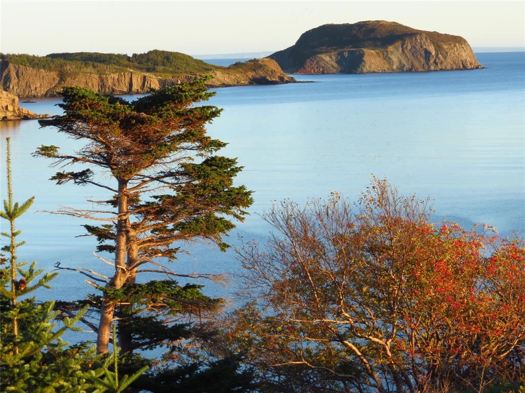 1 SHIP COVE ROAD, PORT REXTON, Newfoundland, Canada A0C 2H0, ,2 BathroomsBathrooms,Residential,Reduced,SHIP COVE ROAD,5636