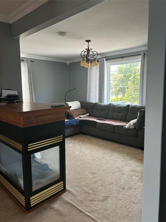 25 MAIN ROAD, PORT DE GRAVE, Newfoundland, Canada A0A 3J0, ,3 BathroomsBathrooms,Residential,For Sale,MAIN ROAD,5658