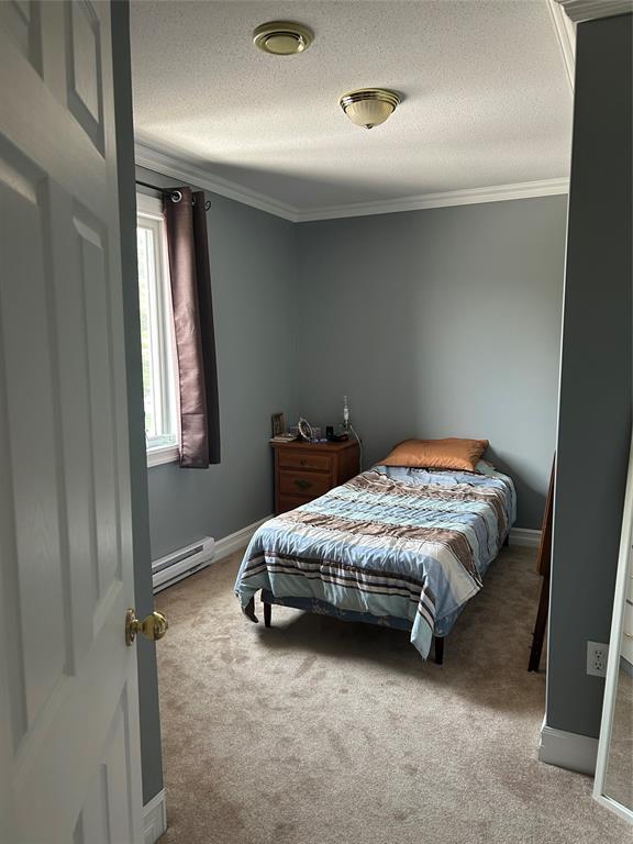 25 MAIN ROAD, PORT DE GRAVE, Newfoundland, Canada A0A 3J0, ,3 BathroomsBathrooms,Residential,For Sale,MAIN ROAD,5658