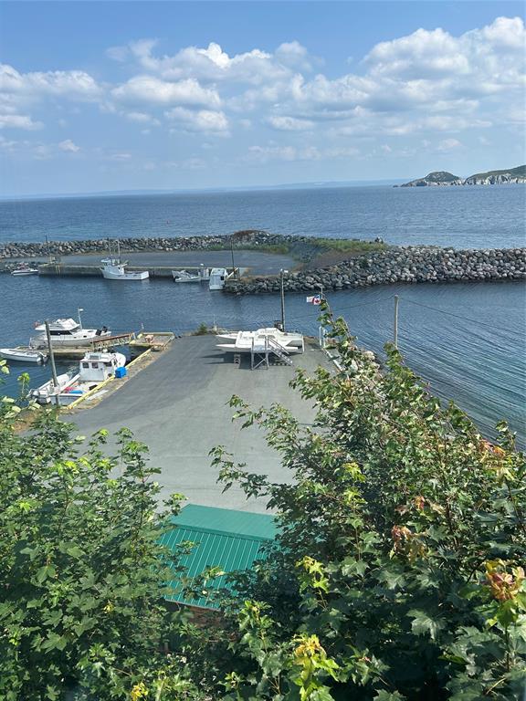 25 MAIN ROAD, PORT DE GRAVE, Newfoundland, Canada A0A 3J0, ,3 BathroomsBathrooms,Residential,For Sale,MAIN ROAD,5658