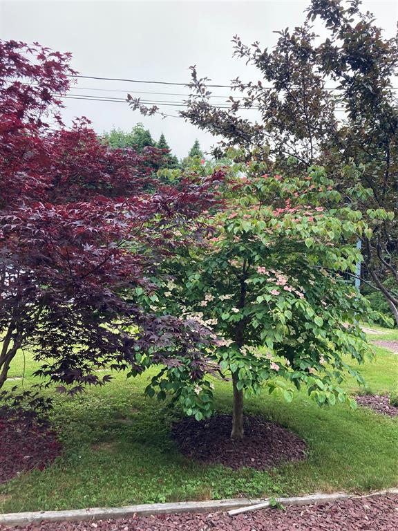 74 MAIN HIGHWAY, BLAKETOWN, Newfoundland, Canada A0B 1C0, ,2 BathroomsBathrooms,Residential,Reduced,MAIN HIGHWAY,5714