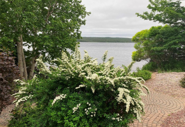 74 MAIN HIGHWAY, BLAKETOWN, Newfoundland, Canada A0B 1C0, ,2 BathroomsBathrooms,Residential,Reduced,MAIN HIGHWAY,5714
