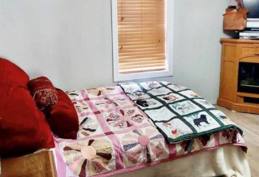 6 CEMETERY ROAD, HODGE'S COVE, Newfoundland, Canada A0E 2A0, ,1 BathroomBathrooms,Residential,For Sale,CEMETERY ROAD,5722