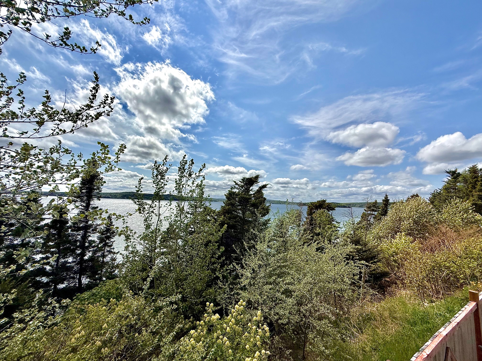 29 OCEANVIEW CRESCENT, BROOKLYN, Newfoundland, Canada A0C 1V0, ,1 BathroomBathrooms,Residential,Reduced,OCEANVIEW CRESCENT,5740