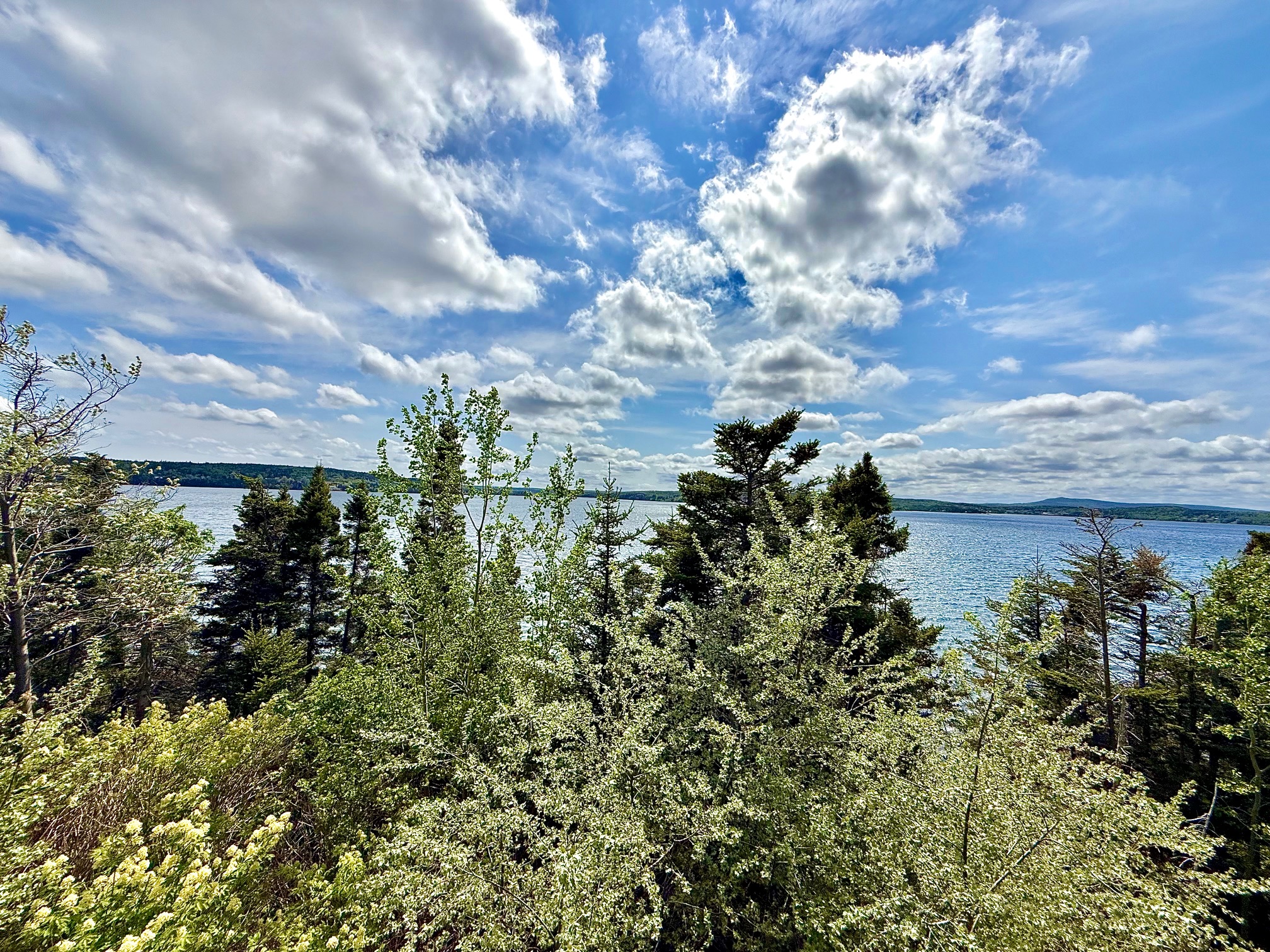29 OCEANVIEW CRESCENT, BROOKLYN, Newfoundland, Canada A0C 1V0, ,1 BathroomBathrooms,Residential,Reduced,OCEANVIEW CRESCENT,5740