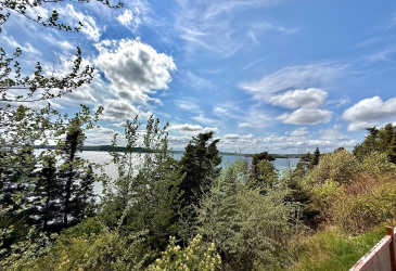 29 OCEANVIEW CRESCENT, BROOKLYN, Newfoundland, Canada A0C 1V0, ,1 BathroomBathrooms,Residential,Reduced,OCEANVIEW CRESCENT,5740 29 OCEANVIEW CRESCENT, BROOKLYN, Newfoundland, Canada A0C 1V0, ,1 BathroomBathrooms,Residential,Reduced,OCEANVIEW CRESCENT,5740