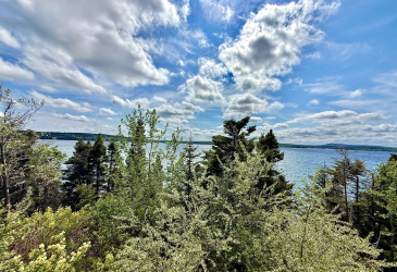 29 OCEANVIEW CRESCENT, BROOKLYN, Newfoundland, Canada A0C 1V0, ,1 BathroomBathrooms,Residential,Reduced,OCEANVIEW CRESCENT,5740 29 OCEANVIEW CRESCENT, BROOKLYN, Newfoundland, Canada A0C 1V0, ,1 BathroomBathrooms,Residential,Reduced,OCEANVIEW CRESCENT,5740