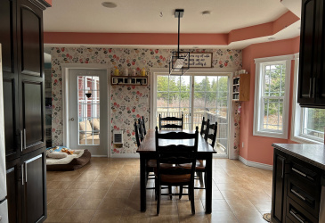 2-6 ASHFORDS EXTENSION, NORTH RIVER, Newfoundland, Canada A0A 3C0, ,2 BathroomsBathrooms,Residential,Reduced,ASHFORDS EXTENSION,5743