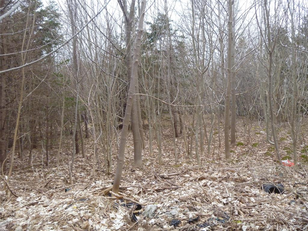 15 POWELL DRIVE, CARBONEAR, Newfoundland, Canada A1Y 1A5, ,Commercial,For Sale,POWELL DRIVE,5754