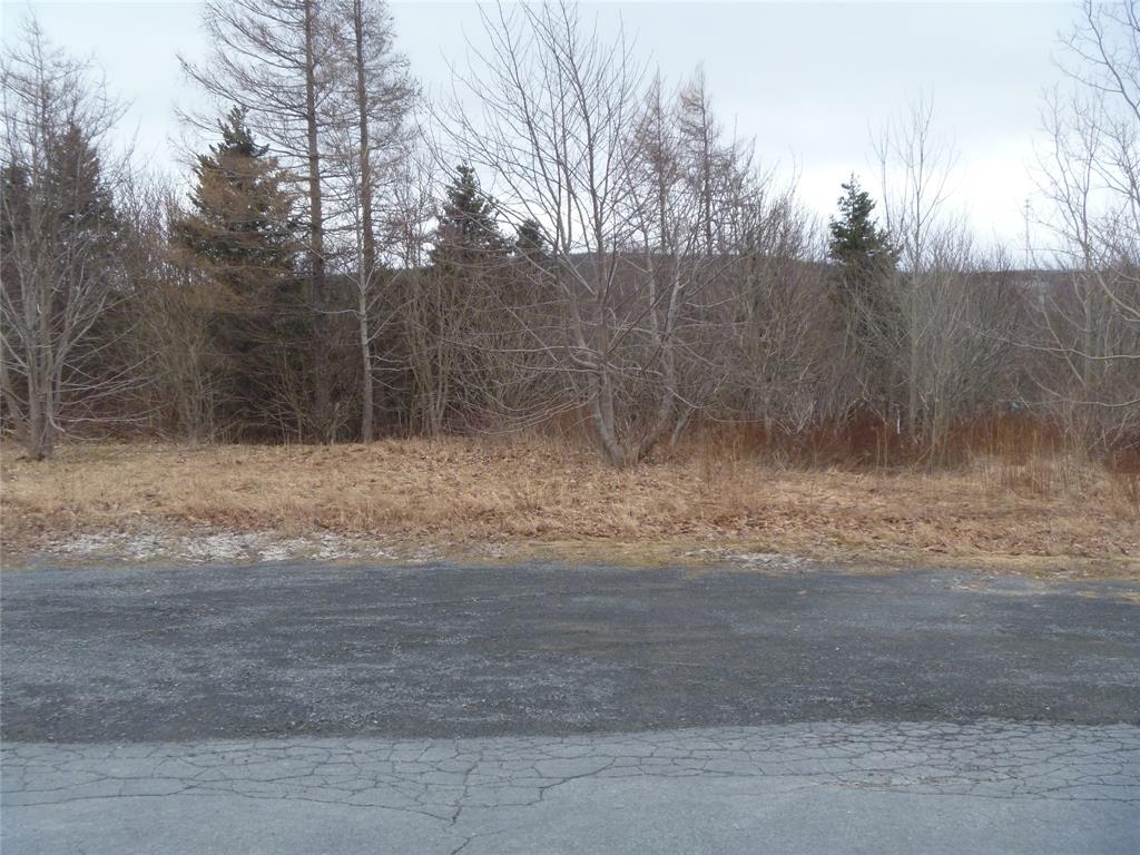15 POWELL DRIVE, CARBONEAR, Newfoundland, Canada A1Y 1A5, ,Commercial,For Sale,POWELL DRIVE,5754