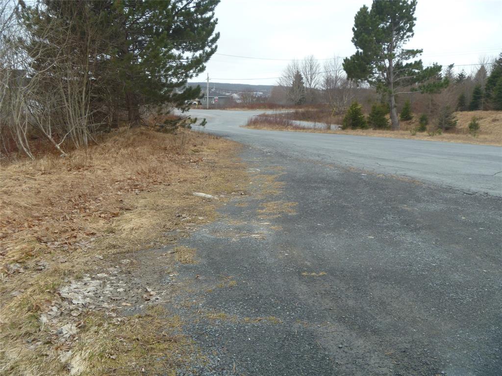 15 POWELL DRIVE, CARBONEAR, Newfoundland, Canada A1Y 1A5, ,Commercial,For Sale,POWELL DRIVE,5754