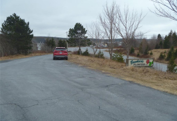 15 POWELL DRIVE, CARBONEAR, Newfoundland, Canada A1Y 1A5, ,Commercial,For Sale,POWELL DRIVE,5754