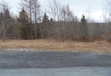 15 POWELL DRIVE, CARBONEAR, Newfoundland, Canada A1Y 1A5, ,Commercial,For Sale,POWELL DRIVE,5754