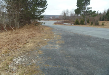 15 POWELL DRIVE, CARBONEAR, Newfoundland, Canada A1Y 1A5, ,Commercial,For Sale,POWELL DRIVE,5754