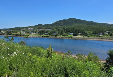 36 QUEEN STREET, MARYSTOWN, Newfoundland, Canada A0E 2M0, ,4 BathroomsBathrooms,Commercial,Reduced,QUEEN STREET,5766