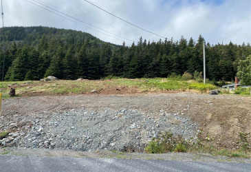 286-290 MAIN STREET, CLARKE'S BEACH, Newfoundland, Canada A0A 1W0, ,Residential,For Sale,MAIN STREET,5776