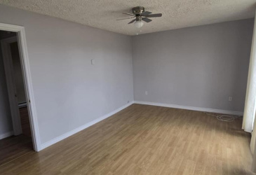 36 GREENWOOD STREET W, MARYSTOWN, Newfoundland, Canada A0E 1K0, ,2 BathroomsBathrooms,Residential,Reduced,GREENWOOD STREET W,5789