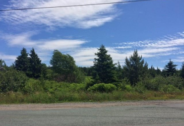 76-78 SEAFOREST DRIVE, CUPIDS, Newfoundland, Canada A0A 2B0, ,Land,Sale Pending,SEAFOREST DRIVE,5794