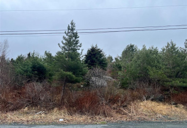 79-81 MINT COVE POND ROAD N, SPANIARD'S BAY, Newfoundland, Canada A0A 3X0, ,Residential,For Sale,MINT COVE POND ROAD N,5796