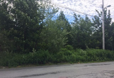 79-81 MINT COVE POND ROAD N, SPANIARD'S BAY, Newfoundland, Canada A0A 3X0, ,Residential,For Sale,MINT COVE POND ROAD N,5796