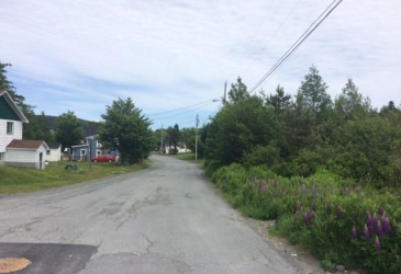 79-81 MINT COVE POND ROAD N, SPANIARD'S BAY, Newfoundland, Canada A0A 3X0, ,Residential,For Sale,MINT COVE POND ROAD N,5796
