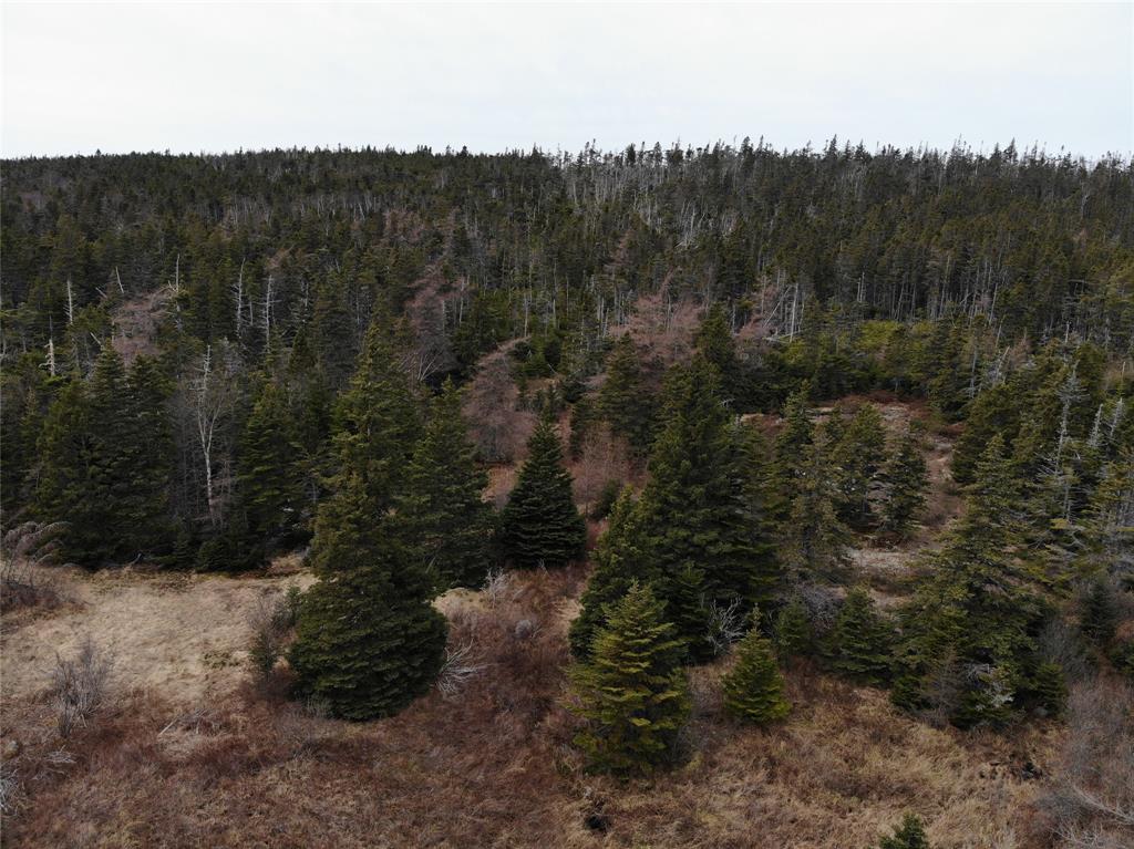 76-84 CONCEPTION BAY HIGHWAY, HOLYROOD, Newfoundland, Canada A0A 2R0, ,Residential,For Sale,CONCEPTION BAY HIGHWAY,5797