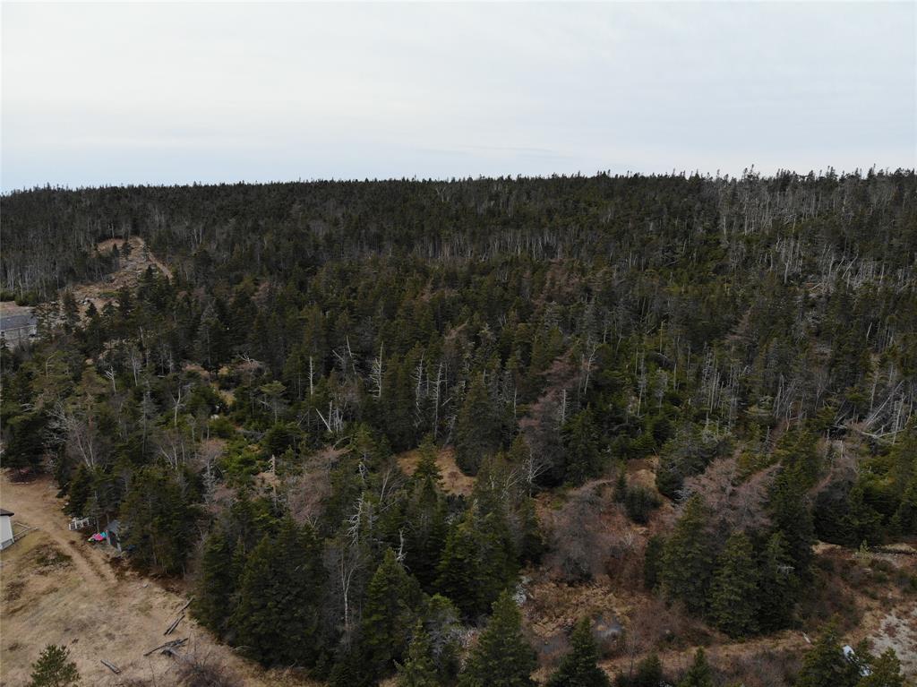76-84 CONCEPTION BAY HIGHWAY, HOLYROOD, Newfoundland, Canada A0A 2R0, ,Residential,For Sale,CONCEPTION BAY HIGHWAY,5797