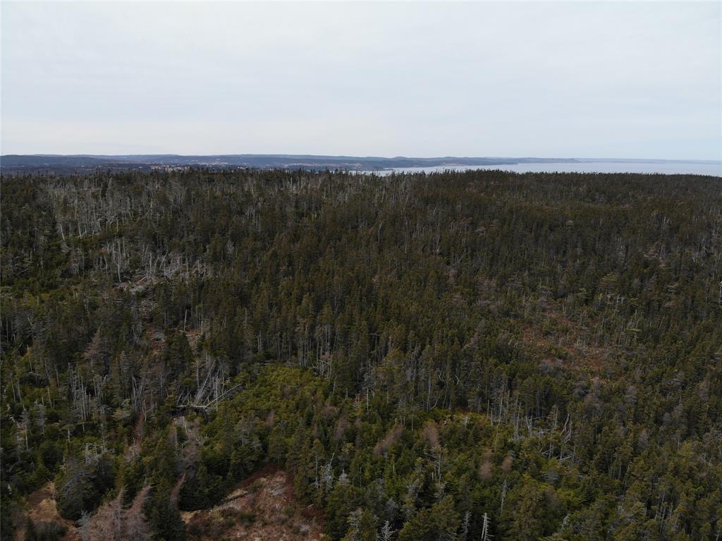 76-84 CONCEPTION BAY HIGHWAY, HOLYROOD, Newfoundland, Canada A0A 2R0, ,Residential,For Sale,CONCEPTION BAY HIGHWAY,5797