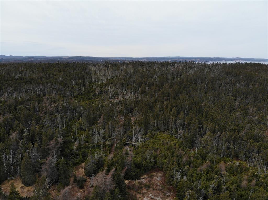 76-84 CONCEPTION BAY HIGHWAY, HOLYROOD, Newfoundland, Canada A0A 2R0, ,Residential,For Sale,CONCEPTION BAY HIGHWAY,5797