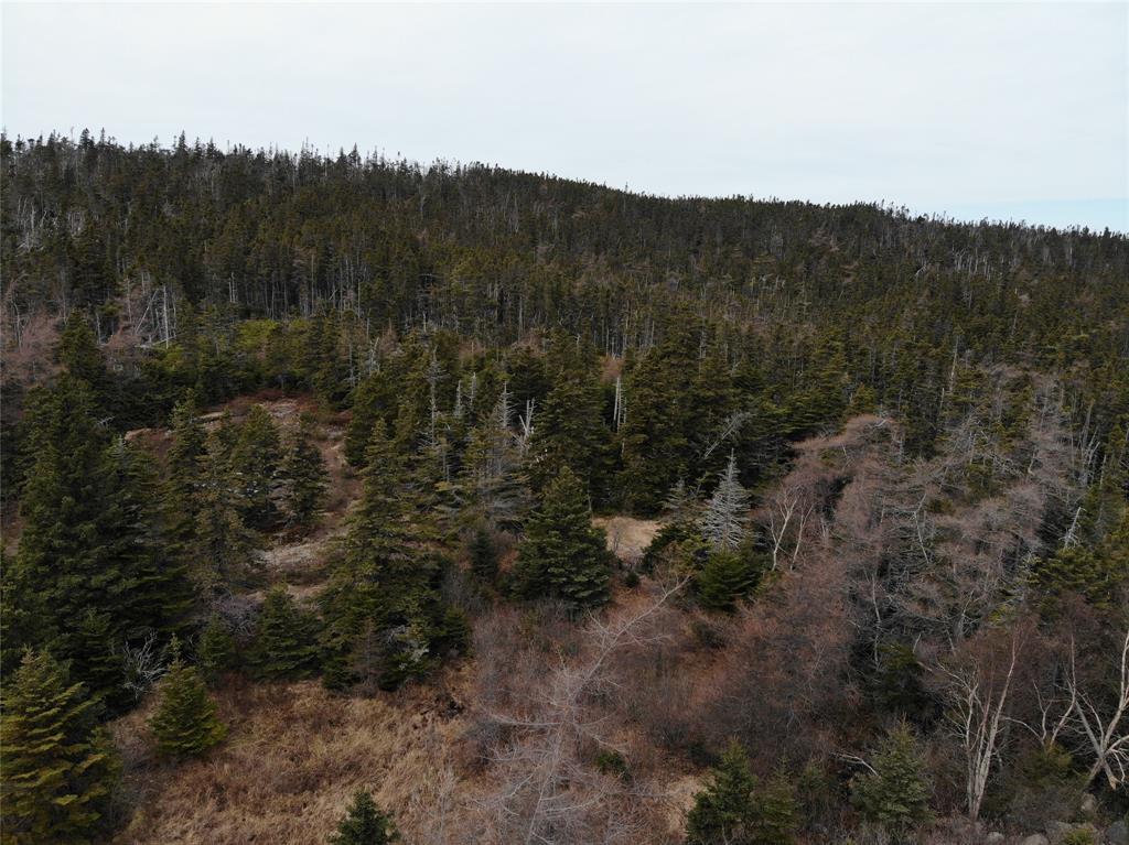 76-84 CONCEPTION BAY HIGHWAY, HOLYROOD, Newfoundland, Canada A0A 2R0, ,Residential,For Sale,CONCEPTION BAY HIGHWAY,5797